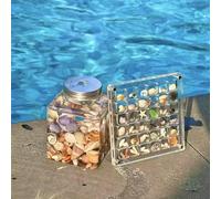 DEFIYEAR 36 Grids Acrylic Seashell Display Box, Magnetic Closure Clear Storage Case for Seashells, Jewelry, Gemstones, Nail Beads, Mini Trinkets & Collectibles