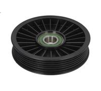 Deflection/Guide Pulley, V-ribbed bel BTA E20001BTA for C-K 5.7 1996-2000