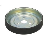 Deflection/Guide Pulley, V-ribbed bel DAYCO APV2978 for RCZ 1.6 2010-2015