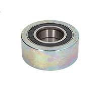 Deflection/Guide Pulley, V-ribbed bel SKF VKMCV 54004 for KERAX 11.123 2001-
