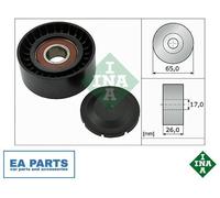 INA Belt Tensioner Pulley 532055710