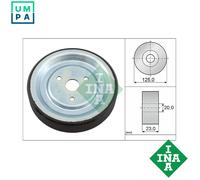INA 532091210 Idler Pulley