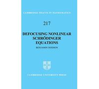 Defocusing Nonlinear Schrödinger Equations (Cambridge Tracts in Mathematics): 217 (Cambridge Tracts in Mathematics, Series Number 217)
