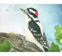 deFouw Geuder, Jenny - Backyard Birds Boxed Notecard Assortment (Jenny Geuder Art)