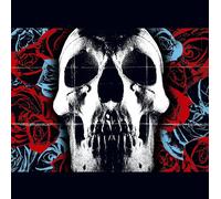 Deftones Deftones - Black Vinyl - Sealed UK vinyl LP album record 093624835011 Maverick 2025