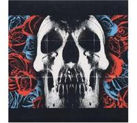 Deftones - New Vinyl Record - F23z