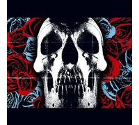 Deftones - New Vinyl Record - F23z