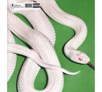 Deftones Private Music LP vinyl Europe Reprise 2025 Standard black vinyl