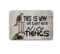 DEGUANG This is Why We Can't Have Nice Things Garden Retro Tin Sign Country Room Wall Hanging Coffee Decorations for Kitchen Farmhouse Decor Tin Signs 8X12 Inch