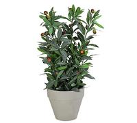 Dehner Artificial Olive Plant Approx. 20 x 20 x 42 cm Pot 7.5-12.5 cm Polyester/Metal/Paper Green/Grey