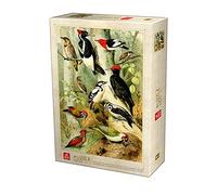 Deico Games Puzzle 5947502875994/EN 02 D-Toys Puzzle 1000 Pieces Encyclopedia Birds Multi-Coloured