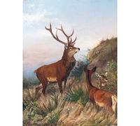 Deiker Deer Stag Fawn Dusk Painting Large Print Poster Wall Art Decor Picture