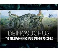 Deinosuchus: The Terrifying Extinct Dinosaur Eating Crocodile