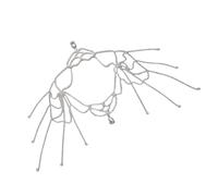 DEKKRYNFV Glamorous-s Rhinestone Fringe Shoulder Jewelry Lightweight Alloy Body Chain For Parties Evening Event Party Accessories For Women