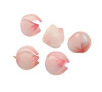 DEKKRYNFV Set of 5Jewelry Findings Lotuses Flower/Leaf Assortment Resin Craft Materials for Handmade Creation Hair Accessories Handmade