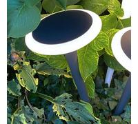 Deko-Light Bermuda LED pillar light ground spike dark grey