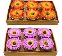 Dekohelden24 Set of 12 Tea Light Candle Gerberas, Yellow and Purple, 4 x 3 x 4 cm, Multi-Coloured
