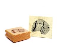Dekolando American Water Spaniel Dog Wooden Stamp 48 x 41 mm