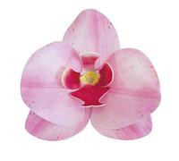 dekora- Edible flowers for cake decorations, 8,5 x 7,5 cm, 10 wafer paper pink Orchids, Cake Topper for Wedding, Birthday, Gender Reveal, Baby Shower and Cupcakes