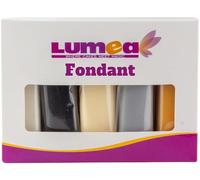 Dekozauber24 Fondant icing multipack, 5 colours, 100g (3.5oz) rolled fondant per colour, for cakes, cupcakes and figurines in white, black, cream, silver and golden caramel (Basics)