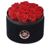 Dekun Preserved Roses Gift Box,12 Genuine Roses,Premium Fresh Cut Roses, Real Roses That Last a Year,Gifts for Women (Black Box & Red Roses)