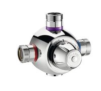 Delabie Thermostatic Shower Mixer Chrome 60 x 18 x 120 mm 731002
