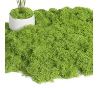DELAESI 200g Artificial Moss Fake Moss Light Green Faux Moss Moss for Crafts Fake Green Lichen Plants Decorative Moss for Potted Plant Art Terrariums Craft Home Garden Floral Arrangements Decoration