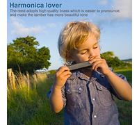 Delaman 24 Hole Harmonica 24 Hole C Key Harmonica, Tremolo Mouth Organ Musical Instrument for Beginners, Christmas Gift Toy, Compact Design, 12 Tone, Easy to Play