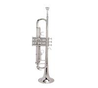 Delaman Bb Trumpet Kit Bb Trumpet Kit, Standard Brass Wind Instrument with Double Bar Support, Cleaning Set for Beginner Students, Silver Color