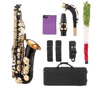 Delaman E-flat Alto Saxophone, Black Paint Brass Sax for Beginner Student Intermediate Player, Includes Moutiece, Carrying Case, Cleaning Cloth, Brush, Sax Straps