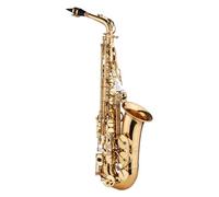 Delaman Eb Alto Saxophone, Brass Saxophone with Carved Pattern, Includes Plastic Moutiece, Gloves, Cleaning Cloth, Brush, Straps, Musical Instrument for Music Lovers