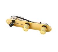 Delaman Electric Guitar Fixed Bridge with Single Coil Pickup Installation Hole, Gold Carving Finish, Replacement Parts Accories for TL, Pre Wired Control Plate with 2 Potentiometer Knobs