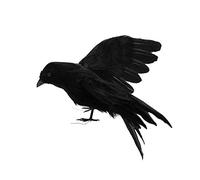 Delaman Feathered Crows Realistic Looking Raven, Birds Black Feathered Crows, Halloween Prop Décor,Spooky Party Home Decor (Color : 3)