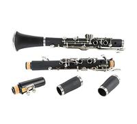 Delaman Flat Clarinet 17 Key G Tone Clarinet, Engineering Plastic Tube Body, Flat Clarinet for Performance and Music Class, Ideal for Beginners, Lightweight and Portable