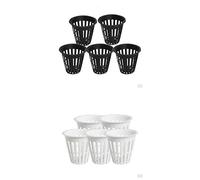 DELANCEY STREET BAND - AGAINST THE NIGHT (UK Import)