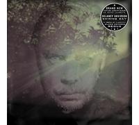 Delaney Davidson Shining Day Vinyl - New