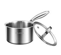 DELARLO Tri-Ply Stainless Steel 1 Quart Saucepan with Lid, Compatible With All Stove 600℉, Small Pots for Cooking, Fast Even Heats