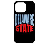 Delaware State Travel Culture Case for iPhone 16 Pro