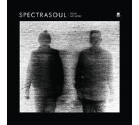 Delay No More by Spectrasoul