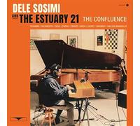 Dele Sosimi & The Estuary 21 - The Confluence