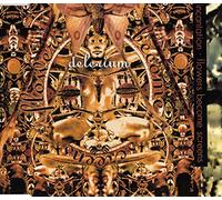 Delerium - Incantation/Flowers Become