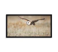 Delgado Barn Owl Bird Flight Nature Photo Framed Wall Art Print Long 25X12 Inch