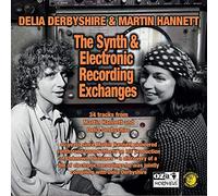 Delia Derbyshire & Martin Hannett - The Synth And Electronic Recording Exchanges