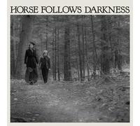 Delia Gonzalez - Horse Follows Darkness [VINYL]