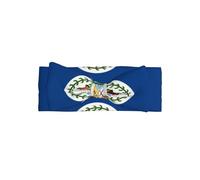 Delicate Belize Flag Print Baby Bow Headband â€“ Headband for Newborns & Infants with Full Moon Gift Appeal