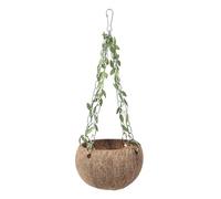 Delicate Bird House Coconuts Shell Pet Toy Outdoor House Parakeets Nest For Parrots Budgies And Finches Parakeets Resting Bed