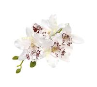 Delicate Cymbidium Hair Clip Fashion Beach Lovely Hair Adornment Girl Beach Barrettes Hair Styling Tool Ornaments