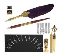 Delicate Feather Drawing Pen Set with Replaceable Nibs for Writing Crafts (SP248014R Purple)