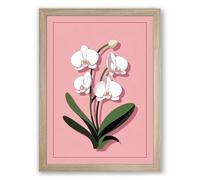 Delicate Orchid Study Botanical Framed Wall Art Print A2 (59.4×42cm) Oak, Wall Decor for Living Room, Bedroom, Office & Home, Ready to Hang, Art Gift