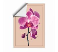 Delicate Orchid Study Botanical Unframed Wall Art Print A2 (59.4×42cm), Wall Decor for Living Room, Bedroom, Office & Home, Art Gift